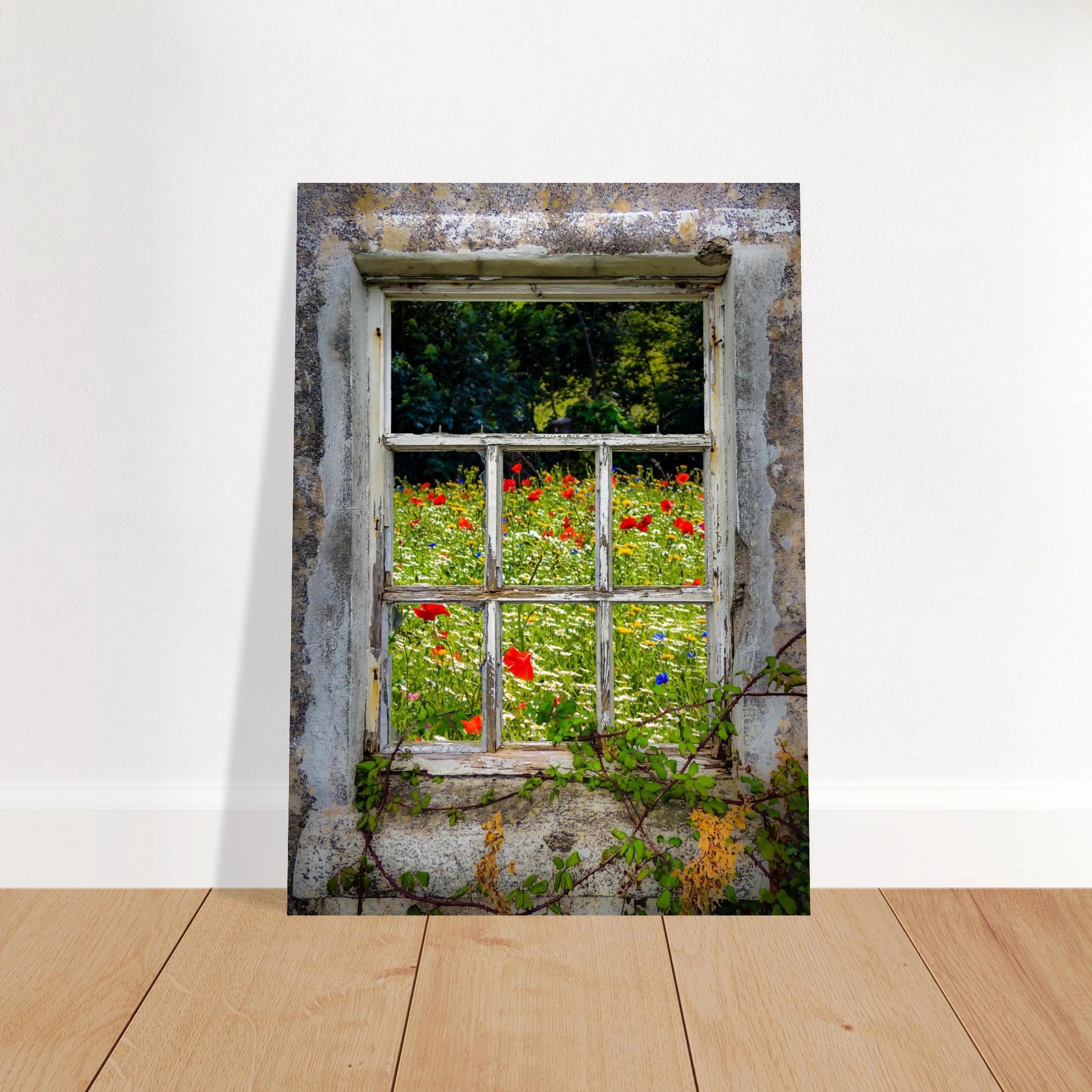 Wildflower Meadow through Weathered Window