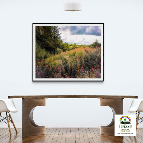 Image of Print - Great Willowherb Wildflower Explosion, County Clare - Moods of Ireland