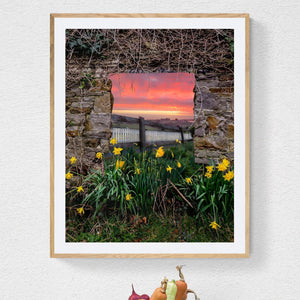 Print - Daffodil Sunrise in the Irish Countryside - James A. Truett - Moods of Ireland - Irish Art