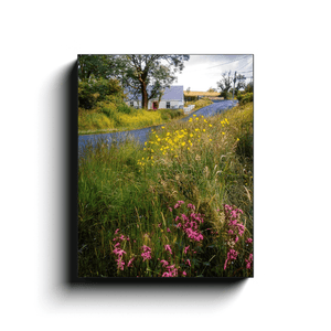 Canvas Wrap - Summer Wildflowers near Kildysart, County Clare - James A. Truett - Moods of Ireland - Irish Art