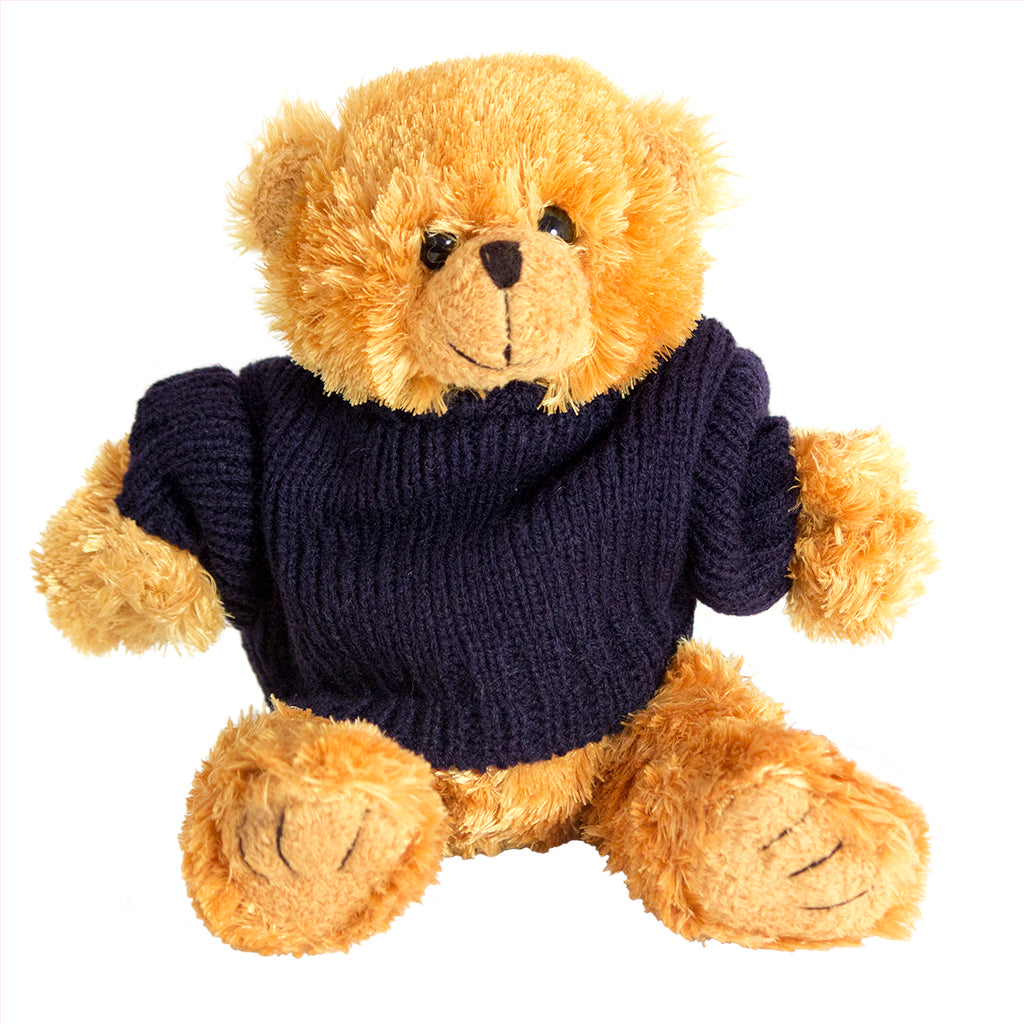 Chubby Bear with Personalised Sweater