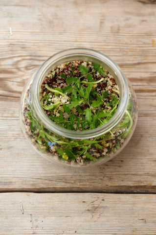 Quinoa au tout frais de Megève