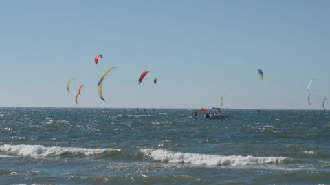 kites above the ocean