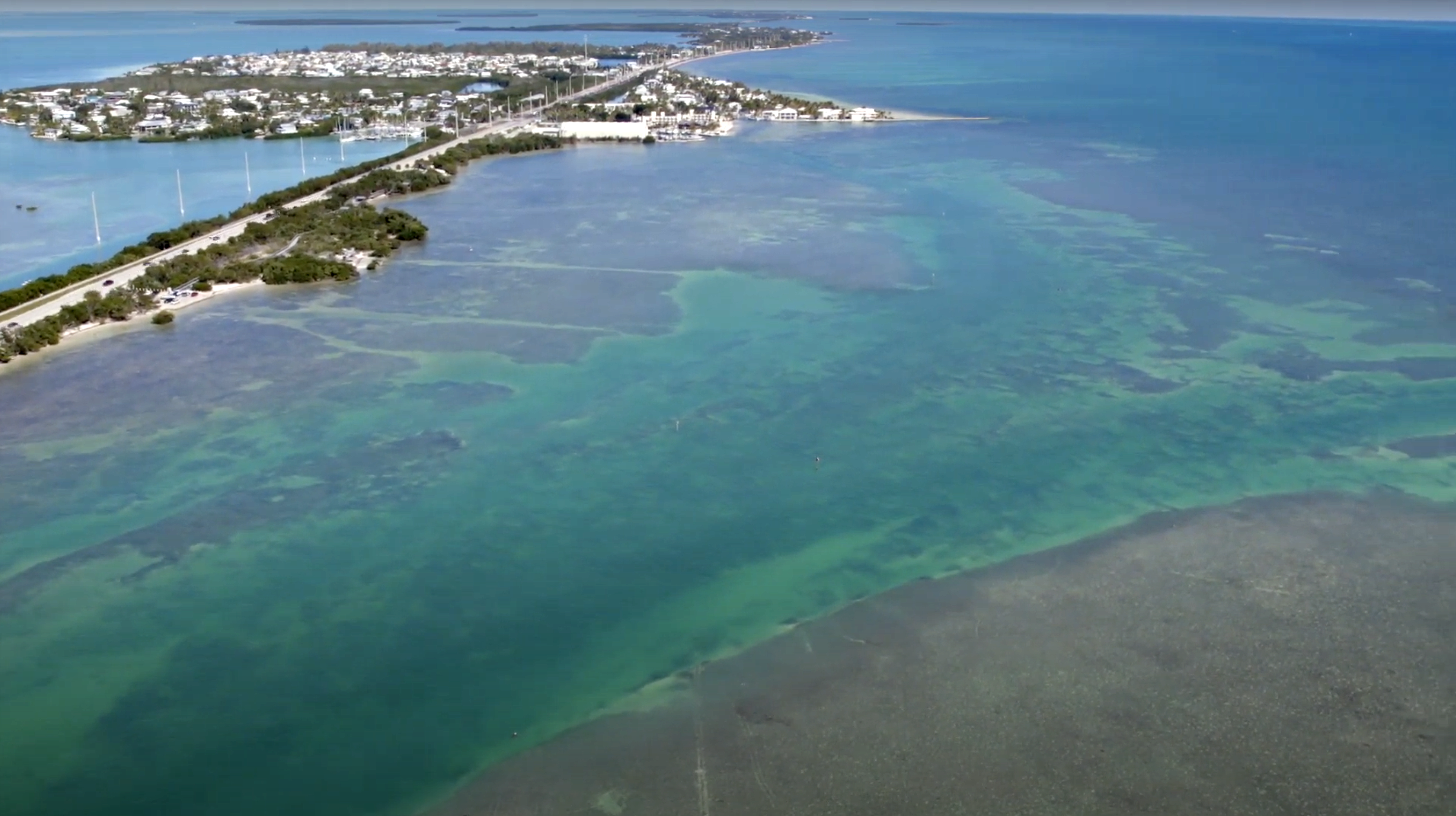 Kitesurfing Anne's Beach Islamorada.png__PID:41d75f3d-bf35-47ac-ab2f-9dddbd31aec7