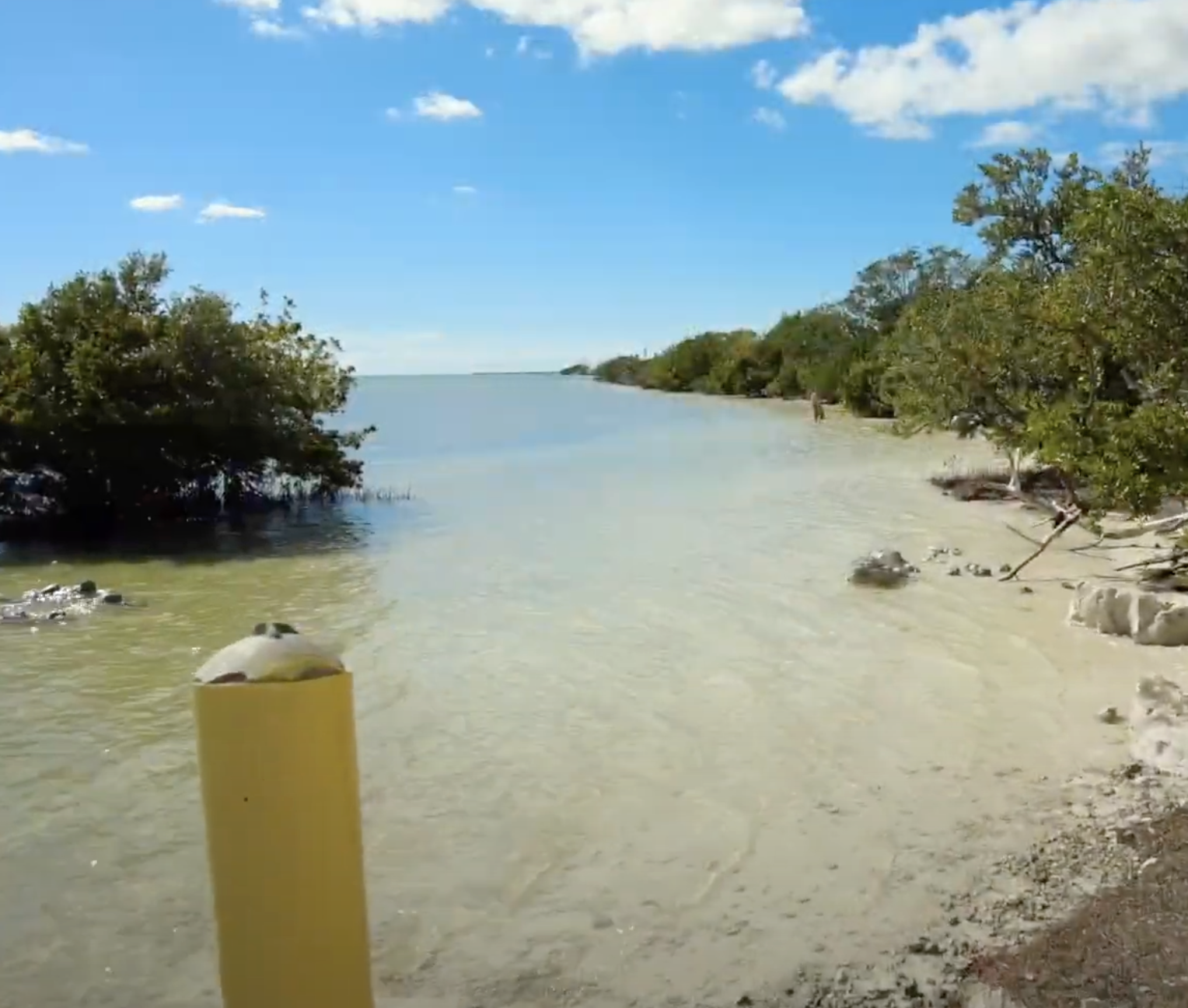 Kitesurfing Anne's Beach Islamorada Florida Keys.png__PID:bd31aec7-ee73-4176-b591-8274399639e2