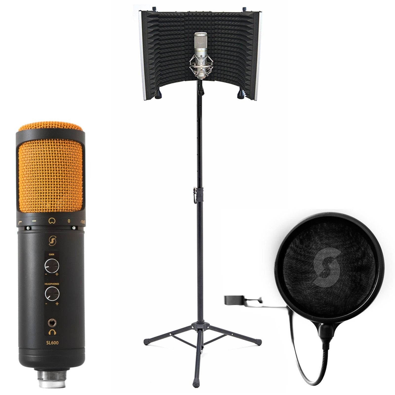 Professional studio microphone and pop filter on a beautiful