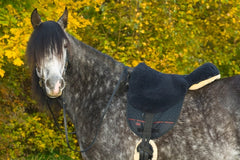 Horsedream sheepskin bareback riding pads