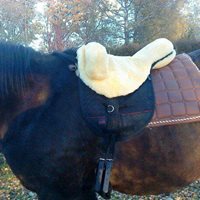 Horse Dream UK Bareback Riding Pad manufactured by Christ Lammfelle