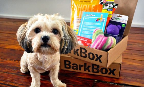 holiday box, dog treats, holiday dog treats, puppy chow, dog snacks, dog cookies