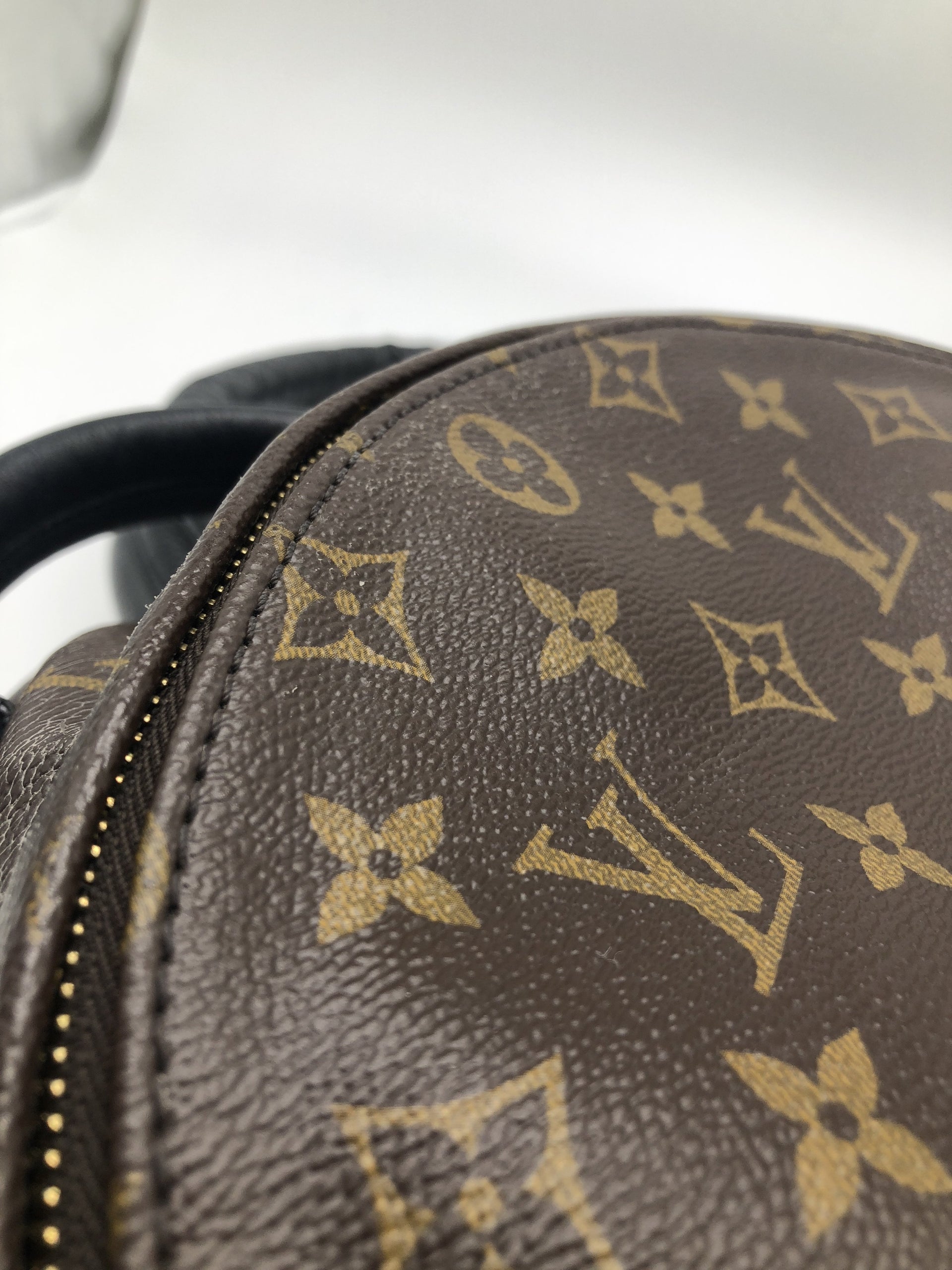 Louis Vuitton Palm Backpack PM – STYLISHTOP