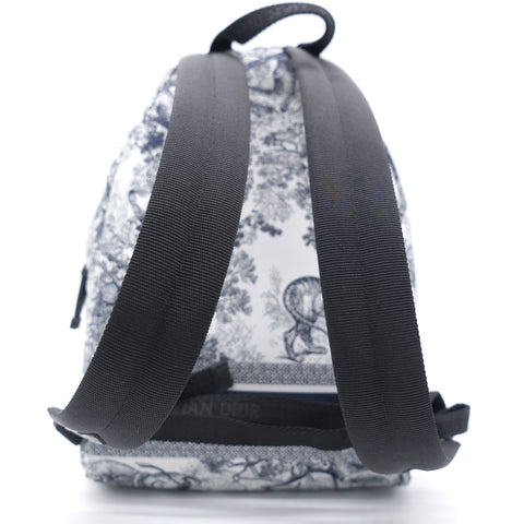 small diortravel backpack