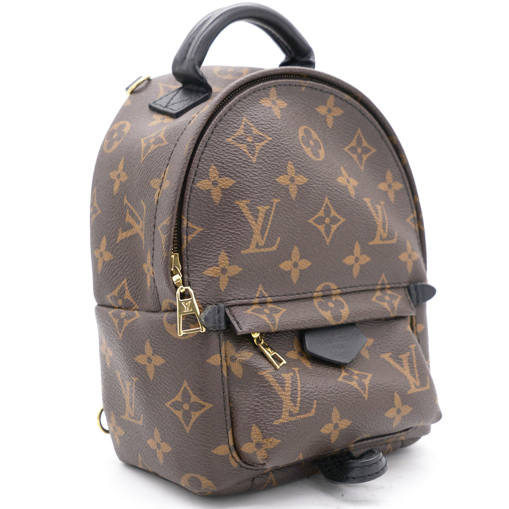 Louis Vuitton Canvas 2022 Monogram Mini Palm Springs Backpack/ Crossbody Bag  - Luxury In Reach