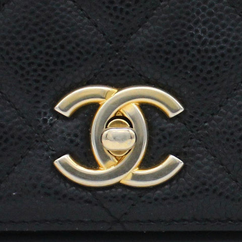 chanel carry around