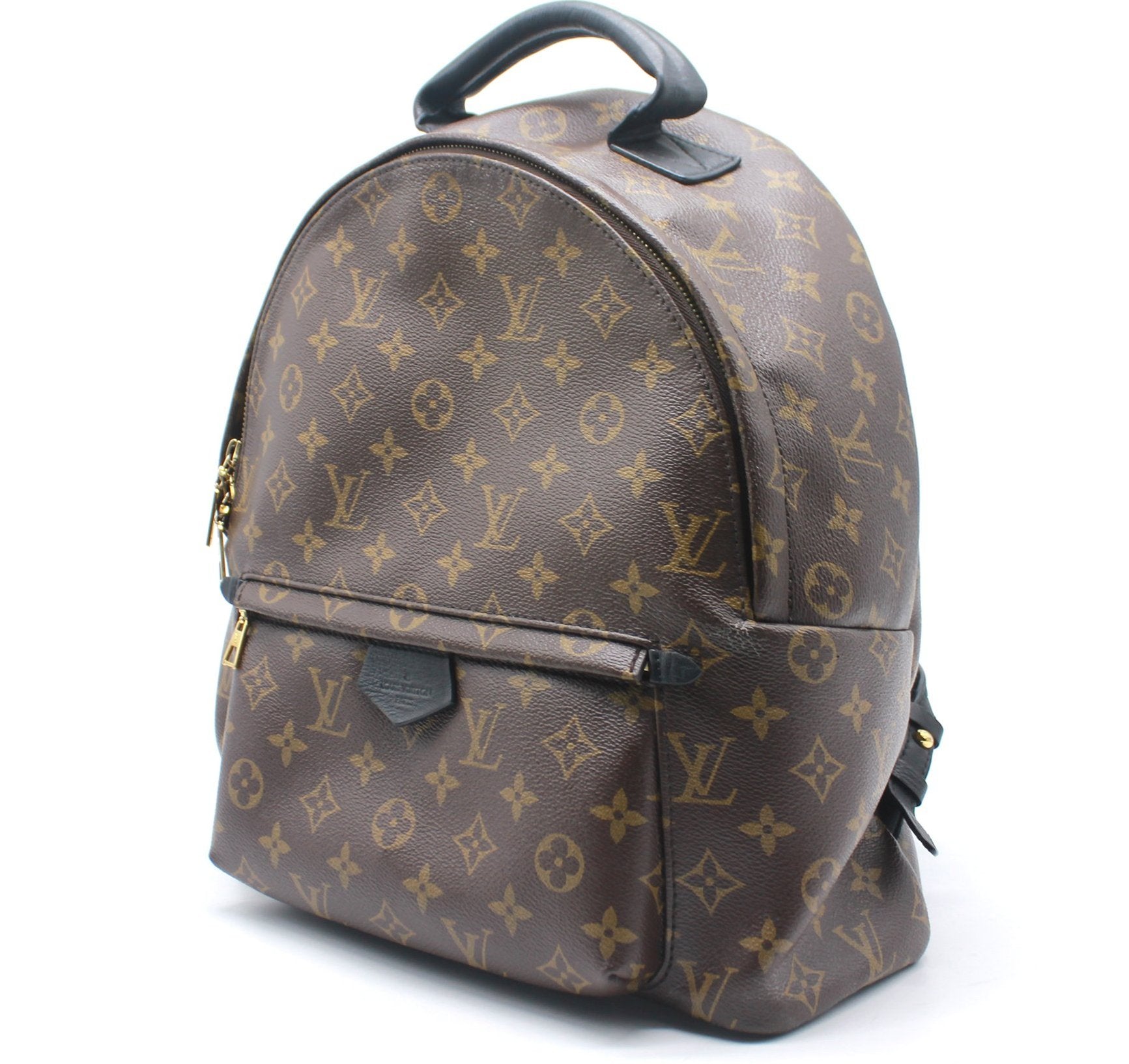 LOUIS VUITTON Palm Springs MM Backpack MNG  REAWAKE