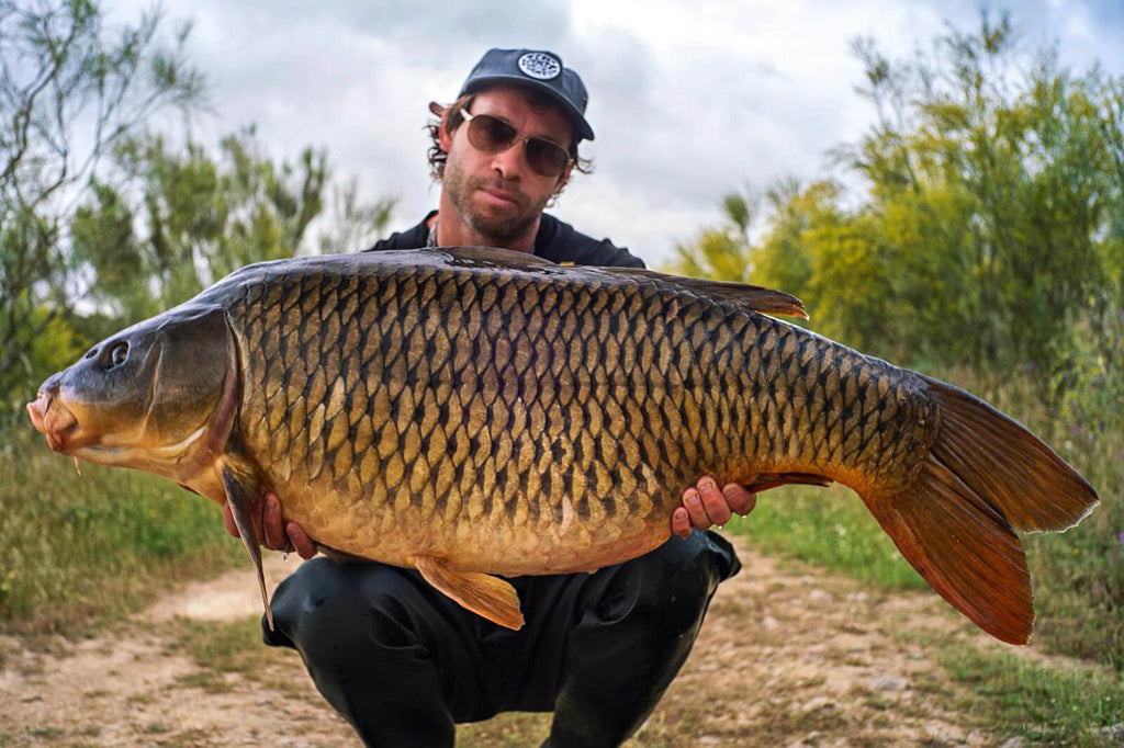 Buy carp fishing leads Online in Andorra at Low Prices at desertcart