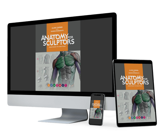 Understandable Anatomy Books For Artists – Anatomy For Sculptors