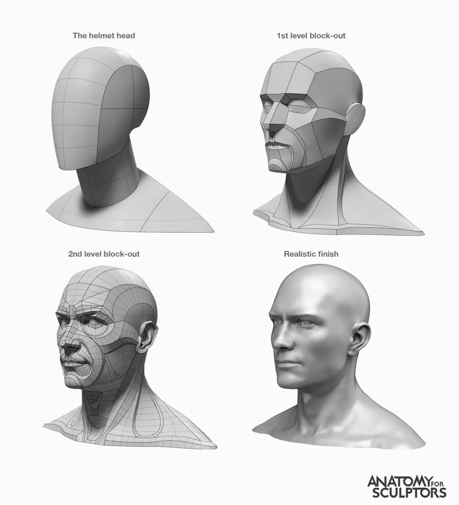 The elements of art form: from basic shapes to human body – Anatomy For ...