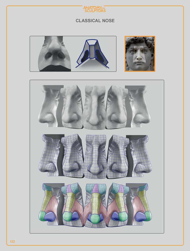 Anatomy For Sculptors: Understanding the Human Figure - PDF (e-book)