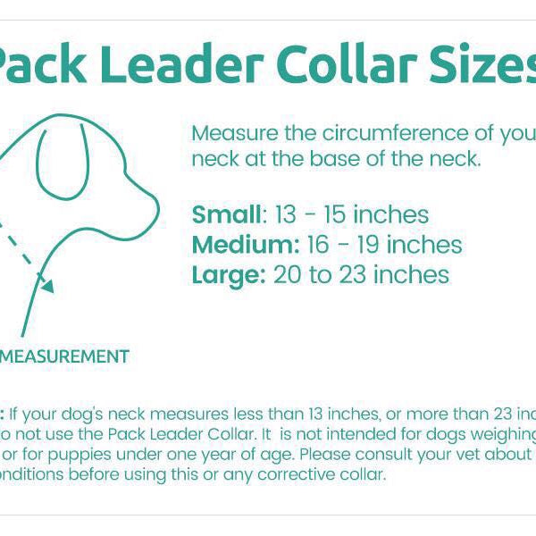 Cesar Millan Slip Lead Leash™ - 2-in-1 Slip Collar Dog Training Lead &  Collar | Heavy Duty Durable Weatherproof Rope Leash, No Pull Training |  Length