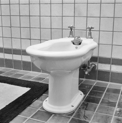 Bidet ou papier de toilette : lequel est le plus écologique