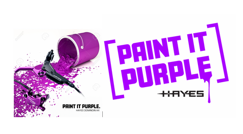hayes dominion purple A4