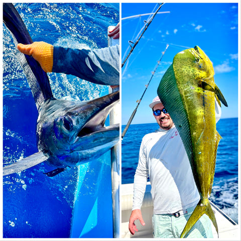 Pacific Sailfish and Mahi Mahi Dorado Fishing in Guatemala