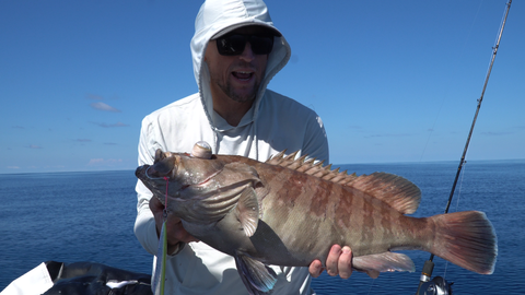 Mystic Grouper or Misty Grouper Slow Pitch Jigging