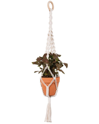 Make-rame Kit: Plant Hanger Twists