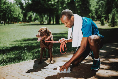 ball-and-bone-dog-training-tips-blog-post-potty-training-outside