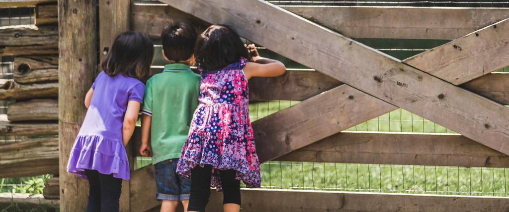 Children looking through fence