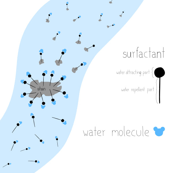 sustainable washing and how it works