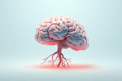 Lycopene and brain health