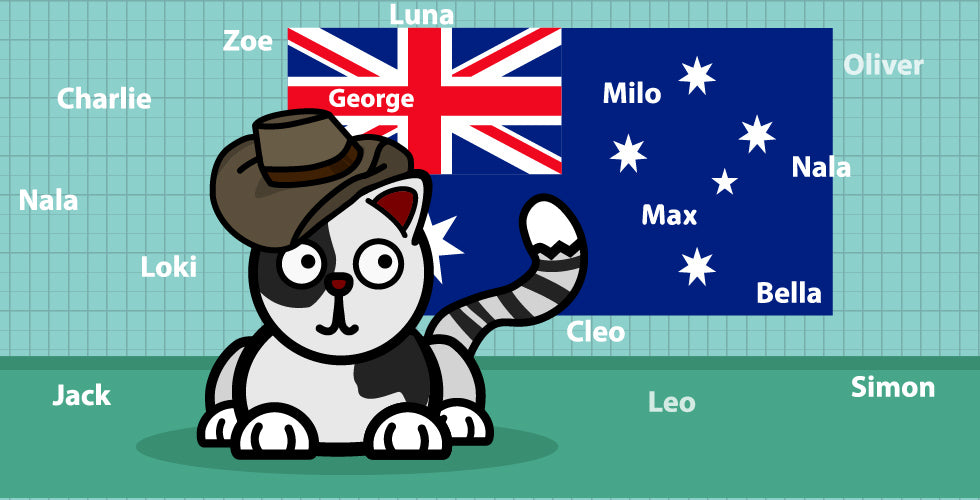 Top 10 Australian Male Female Cat Names
