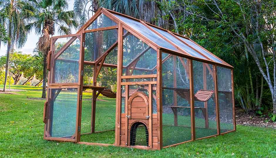 backyard cat enclosures