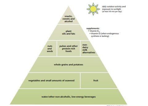 AminoMantra Vegan Food Pyramid