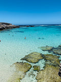 Rottnest Island, 2019- The Tea Nomad travels 