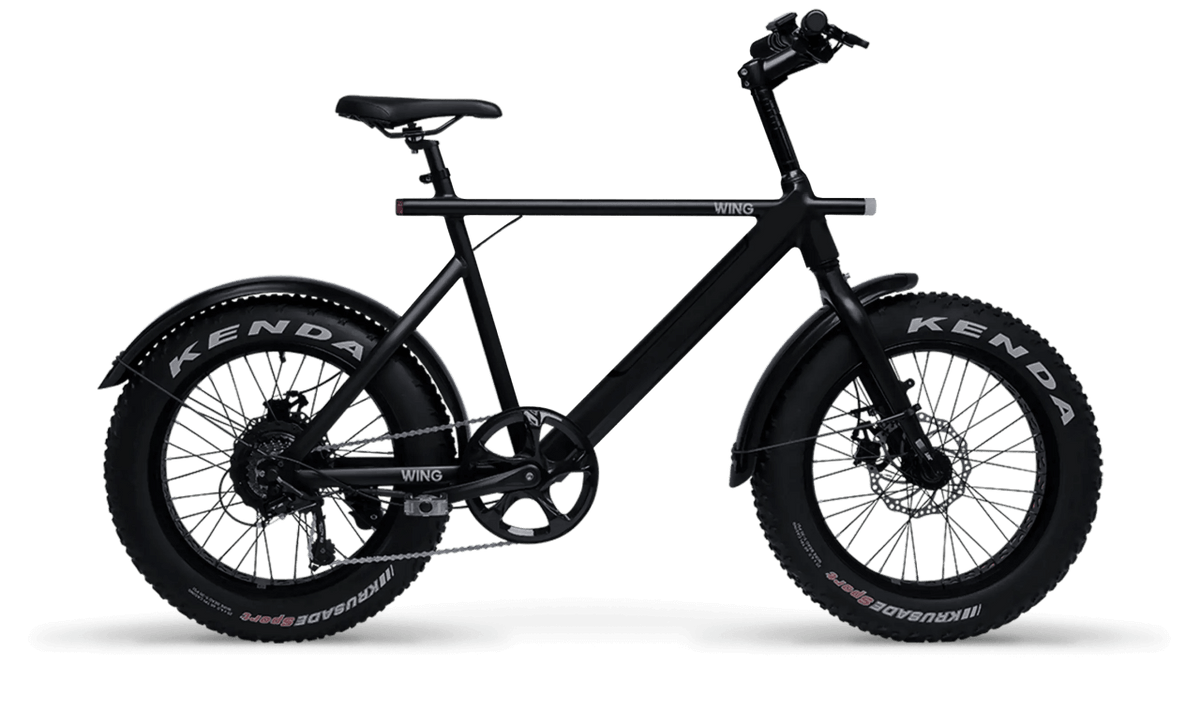 Wing Freedom Fatty electric bike in black