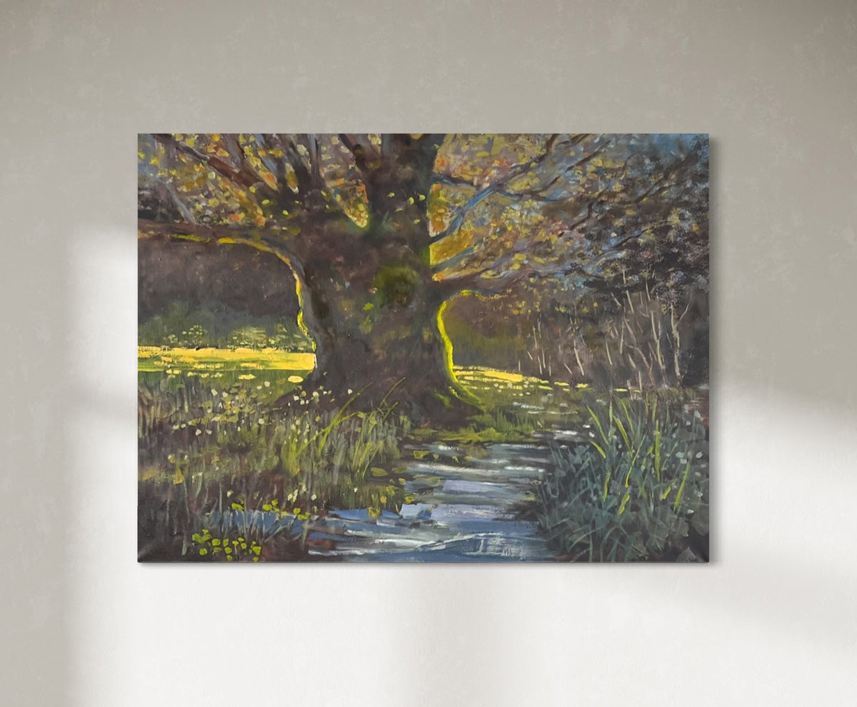 Sunlit Meadow *