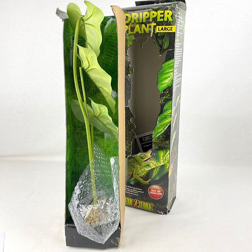 exo terra dripper plant large