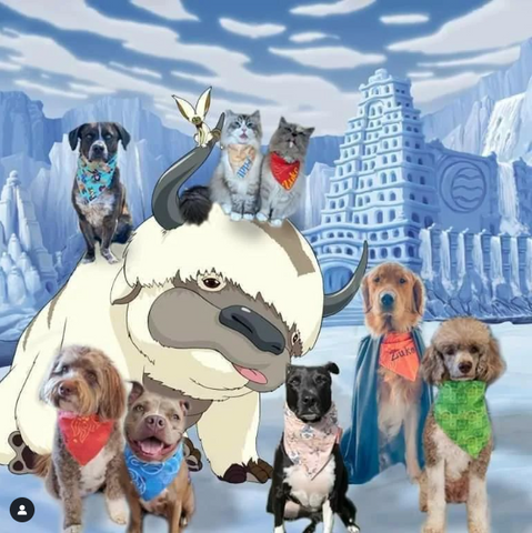 Collage of pets and cats in Avatar: The Last Airbender bandanas photoshopped with Appa and Momo