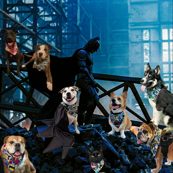 Pets photoshopped into a movie scene from The Dark Knight