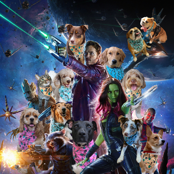 pets photoshopped into a movie poster