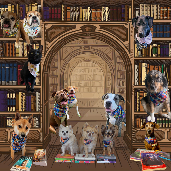 Pets photoshopped into an illustrated library
