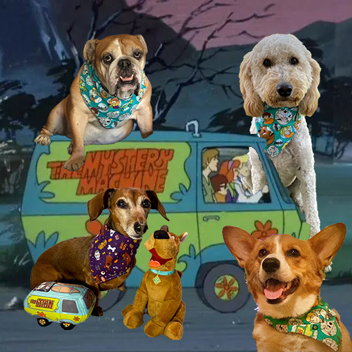 Scooby Gang Collage