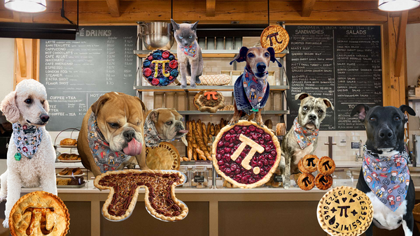 Pets in supernatural bandanas photoshopped into a pie shop