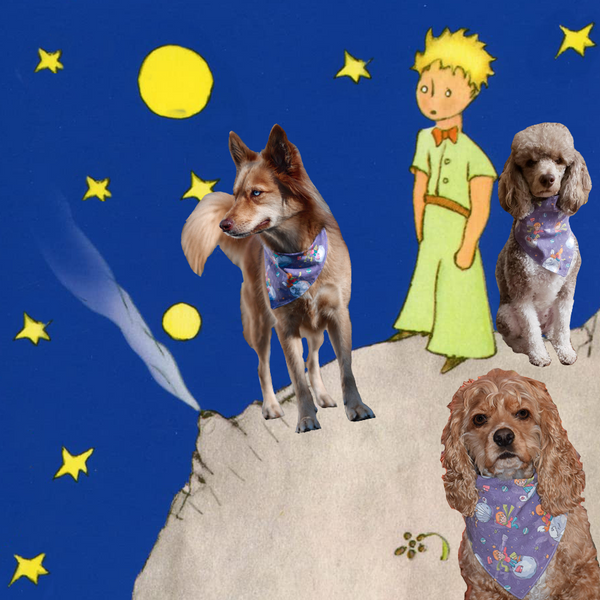 Three dogs photoshopped onto the moon with The Little Prince