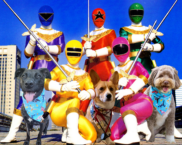 Morphin Time