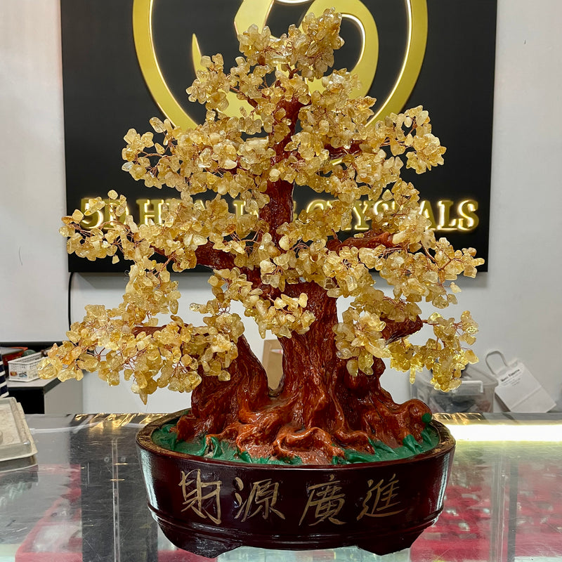 Citrine Money Tree 20” by 18” 2022 – 5D Healing Crystals