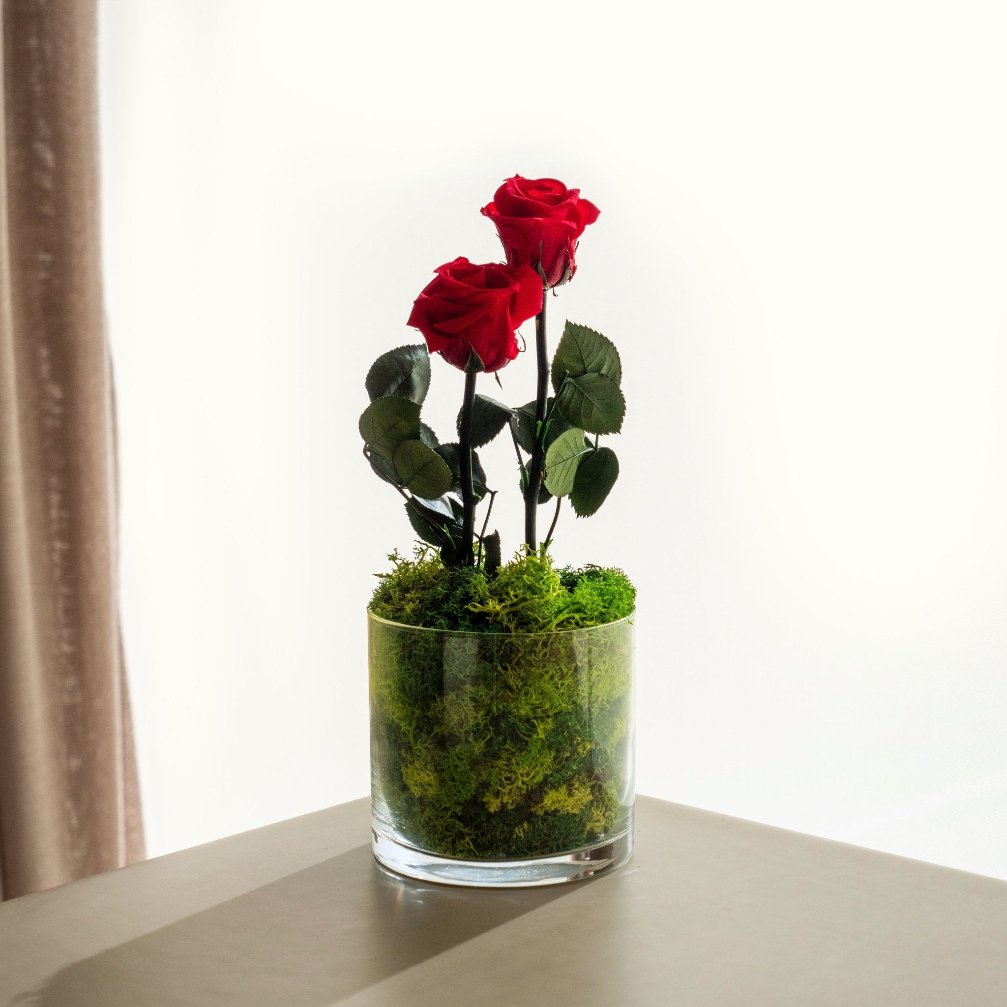 Red Garden - Rosas liofilizadas | Omotesandō Plants