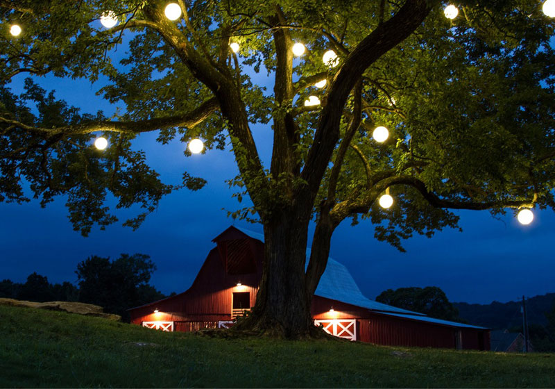 loftek led rgb ball light hanging on tree